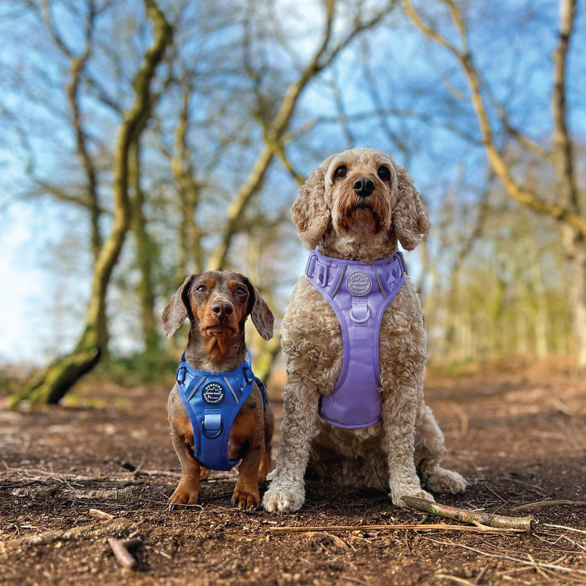 All Harnesses tagged "toughtrailsharness" Pawsome Paws Boutique