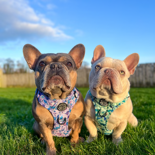 Earn points and Get Rewards