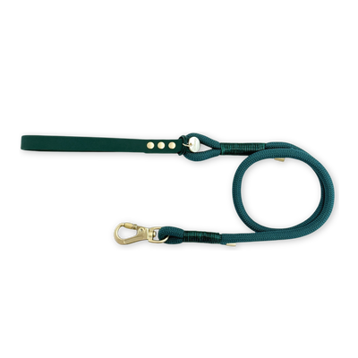 Disney© 4ft Rope Lead - Jungle Book