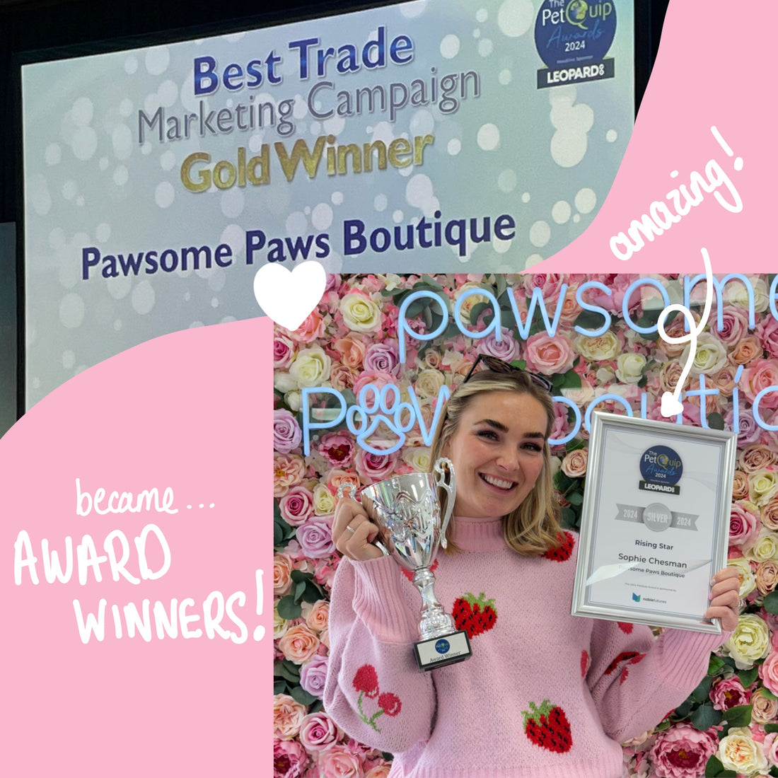 Pawsome Paws Boutique Wins Big at the PetQuip 2024 Awards!