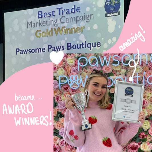 Pawsome Paws Boutique Wins Big at the PetQuip 2024 Awards!