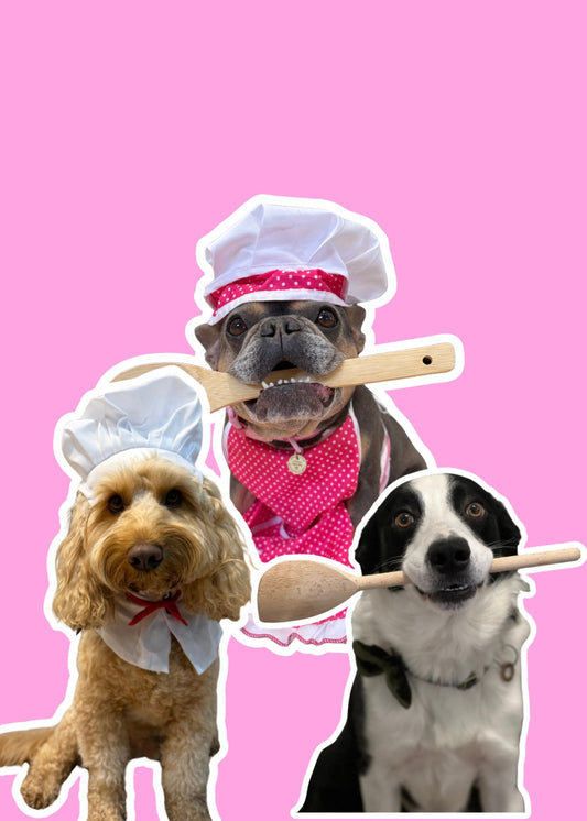 How to Create Dog-Friendly Easter Treats for Your Pup This Bank Holiday Weekend