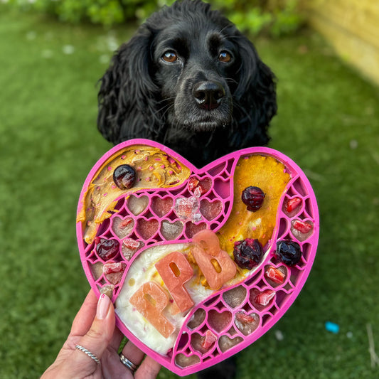 A dog waiting for a full enrichment mat, the food in the enrichment mat spells PPB