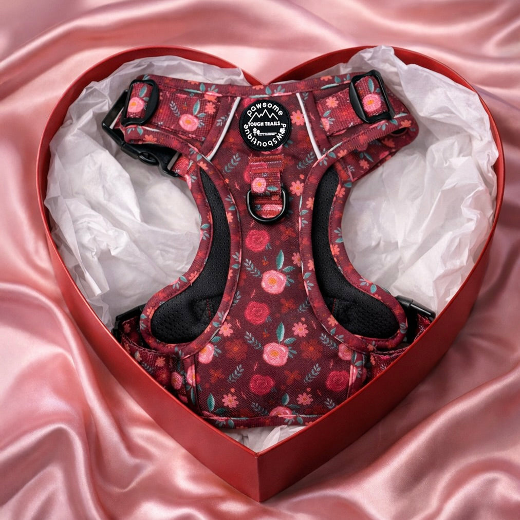 Valentines Gift Guide
