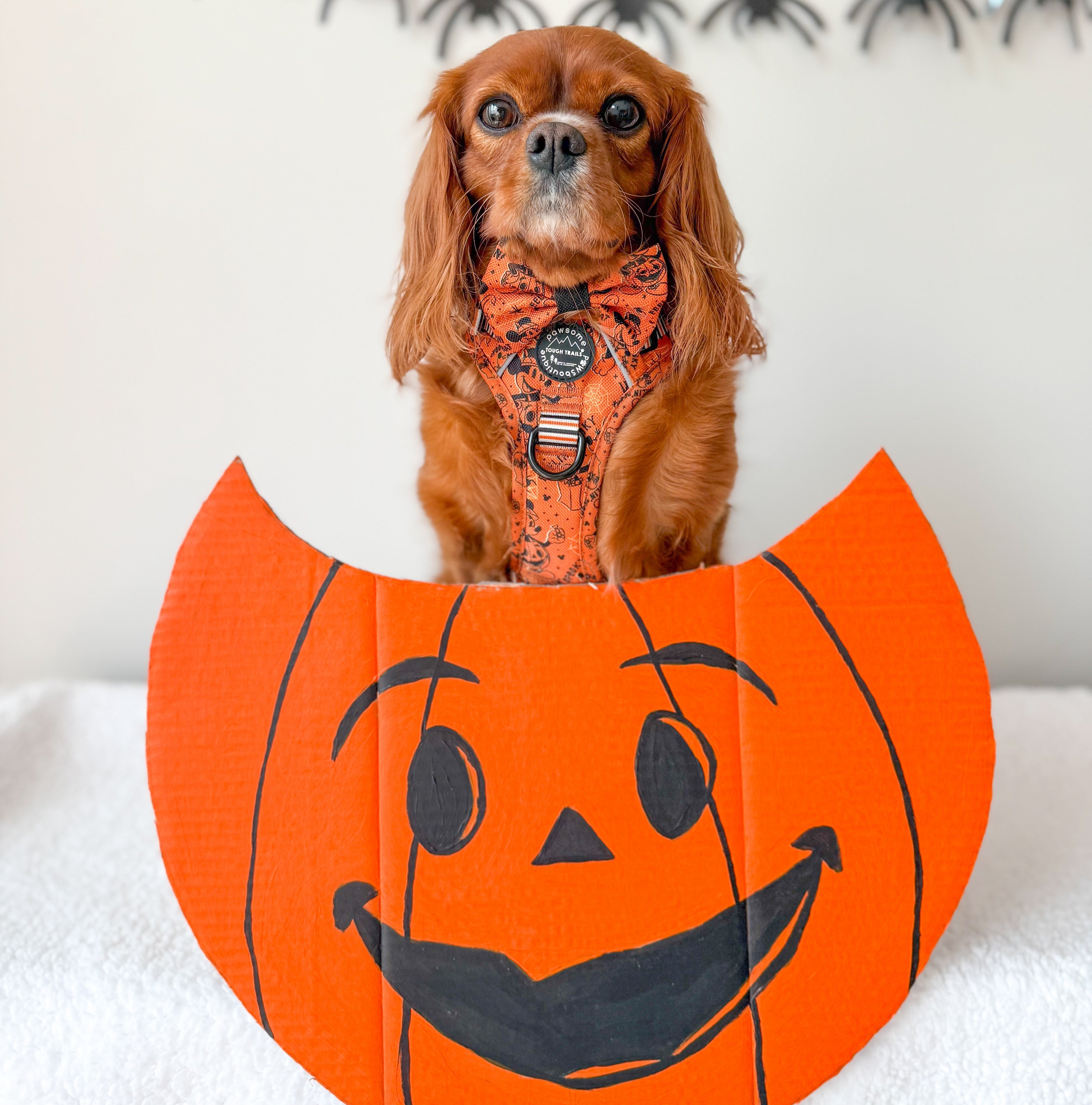 Disney Halloween