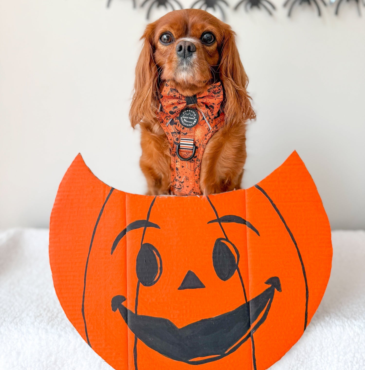 Disney Halloween
