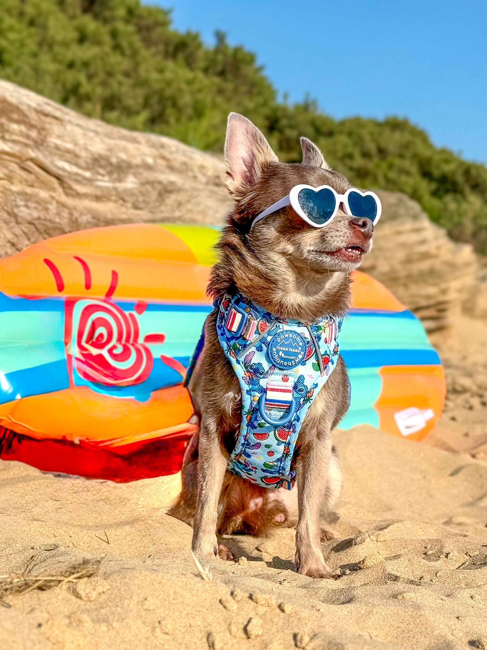 Sunshine Essentials