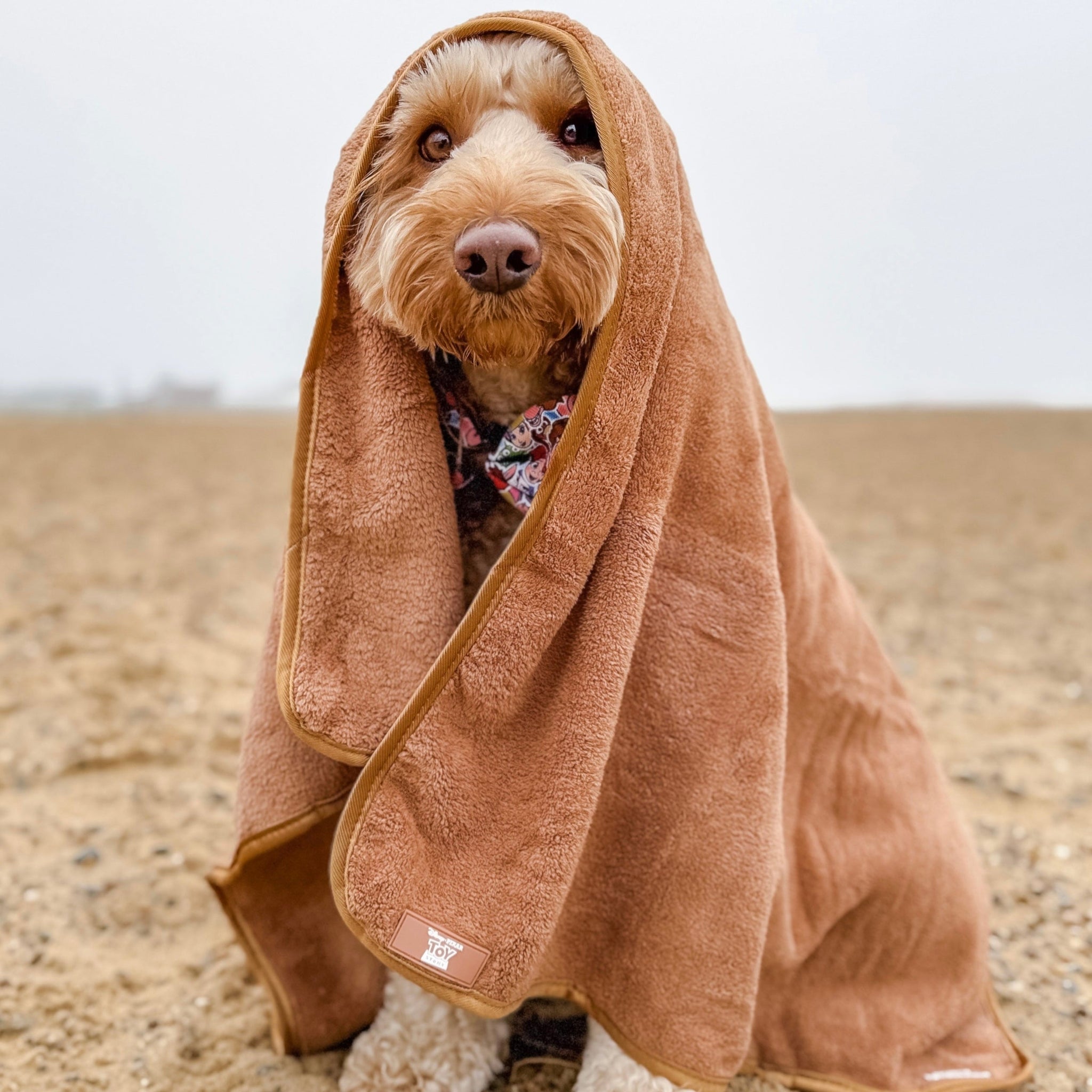 Get Beach Ready