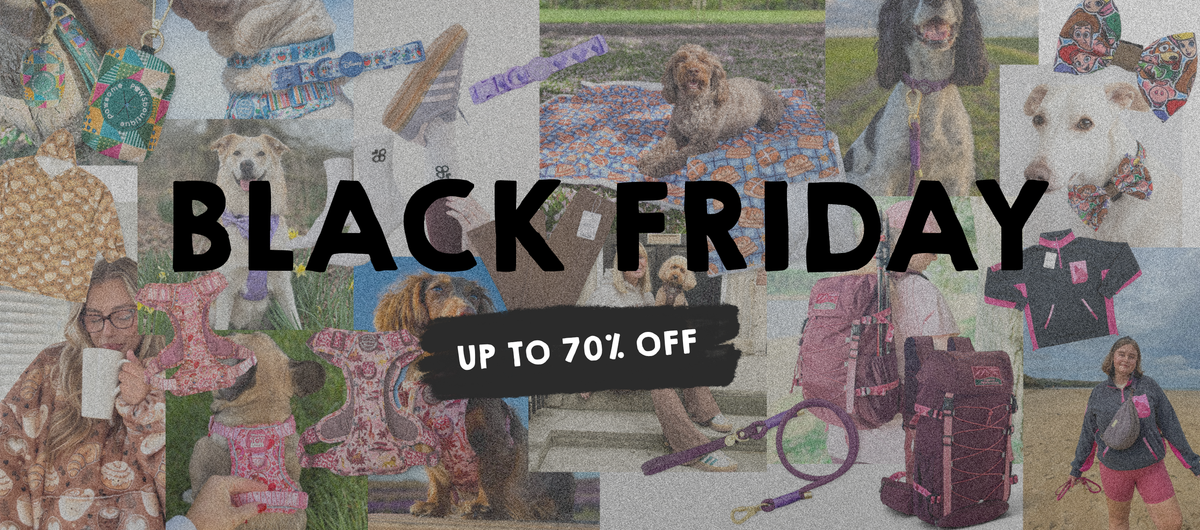 Black Friday