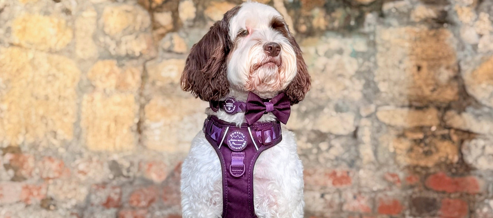 Walkies Ready® Plum