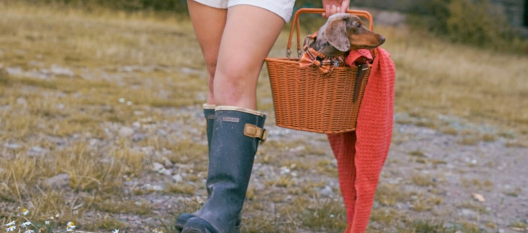 Step Into Fall