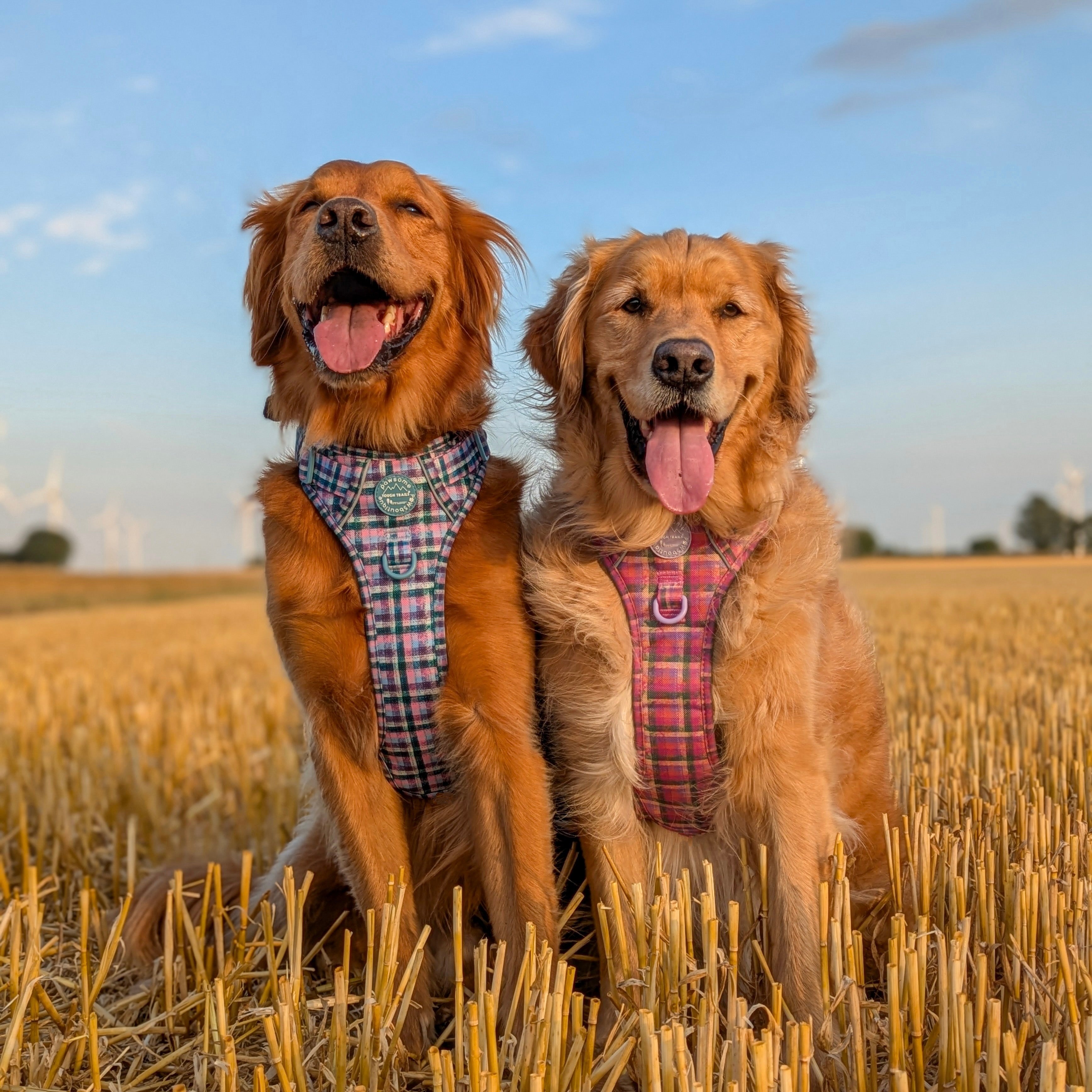 Tweed Collection