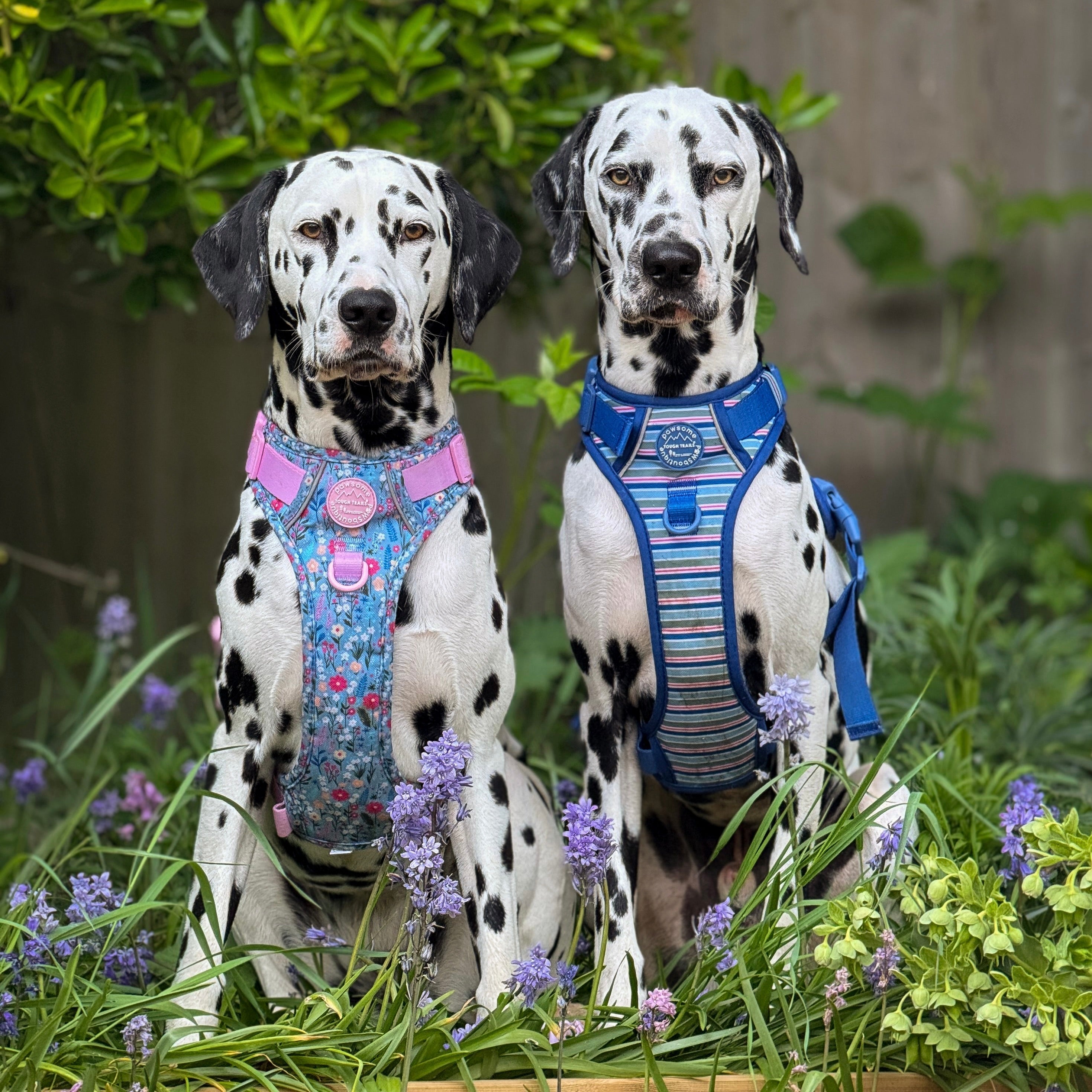 Spring Additions