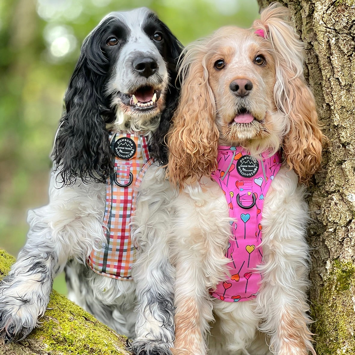 Tough Trails™ Harness
