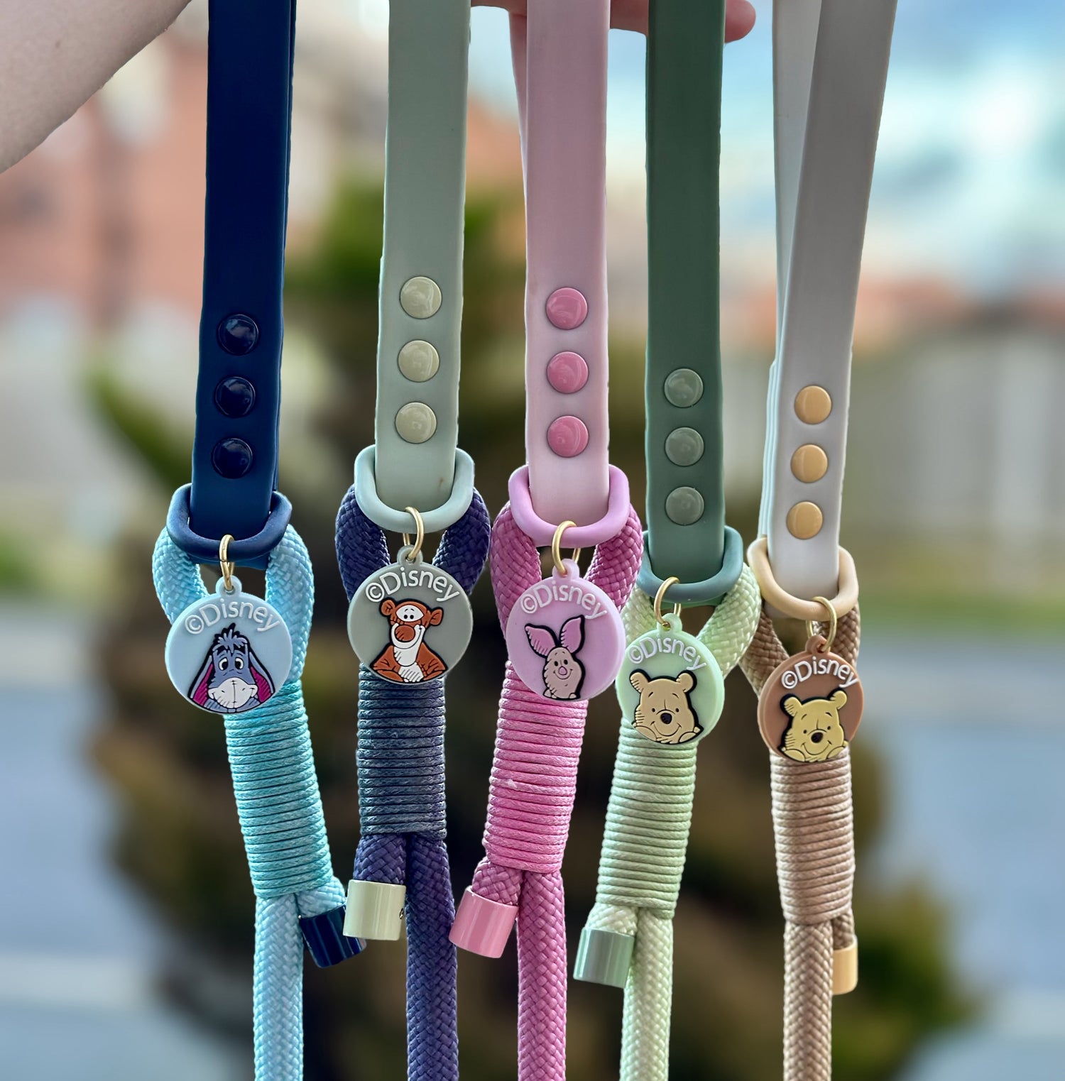 Leads