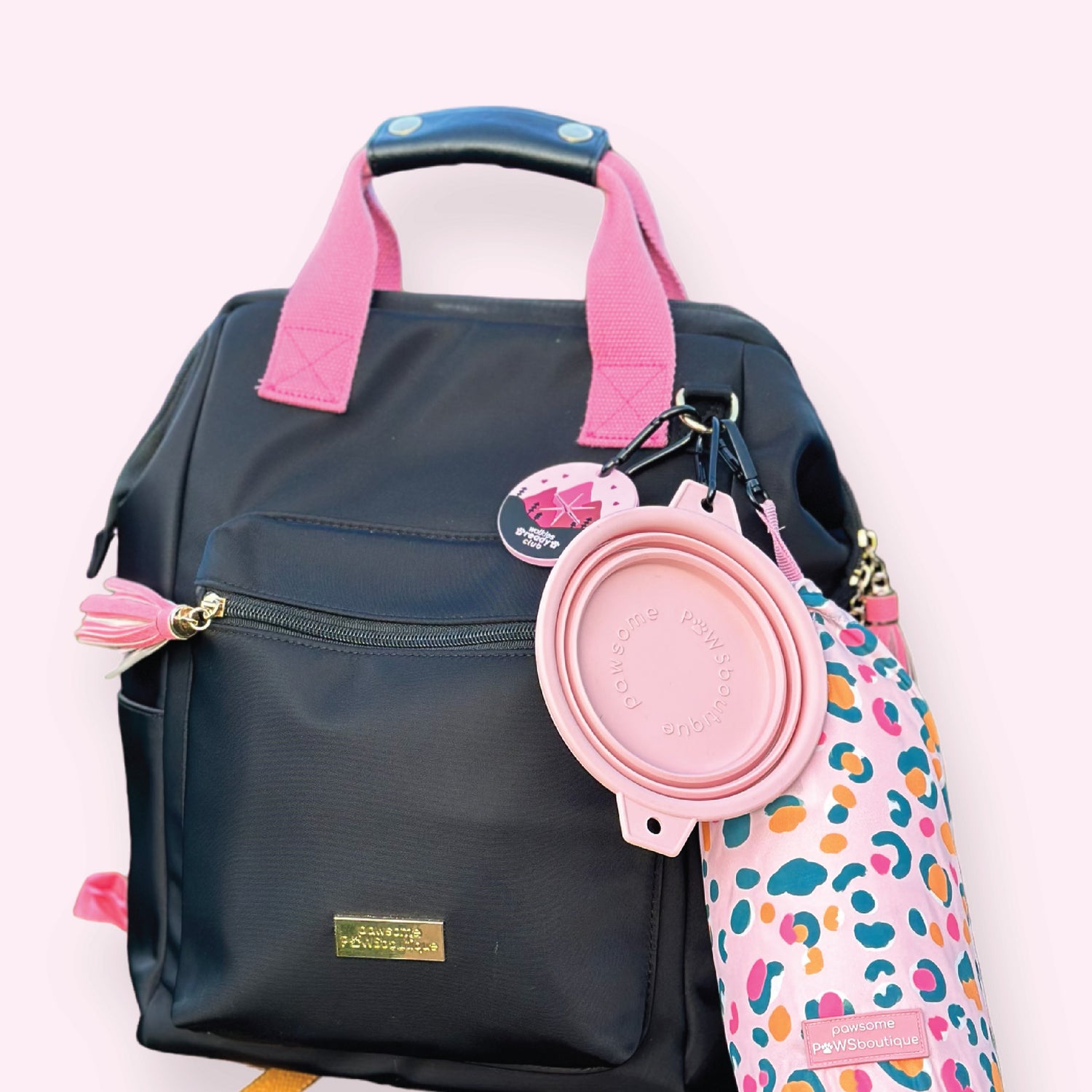 Dog Walking Accessories