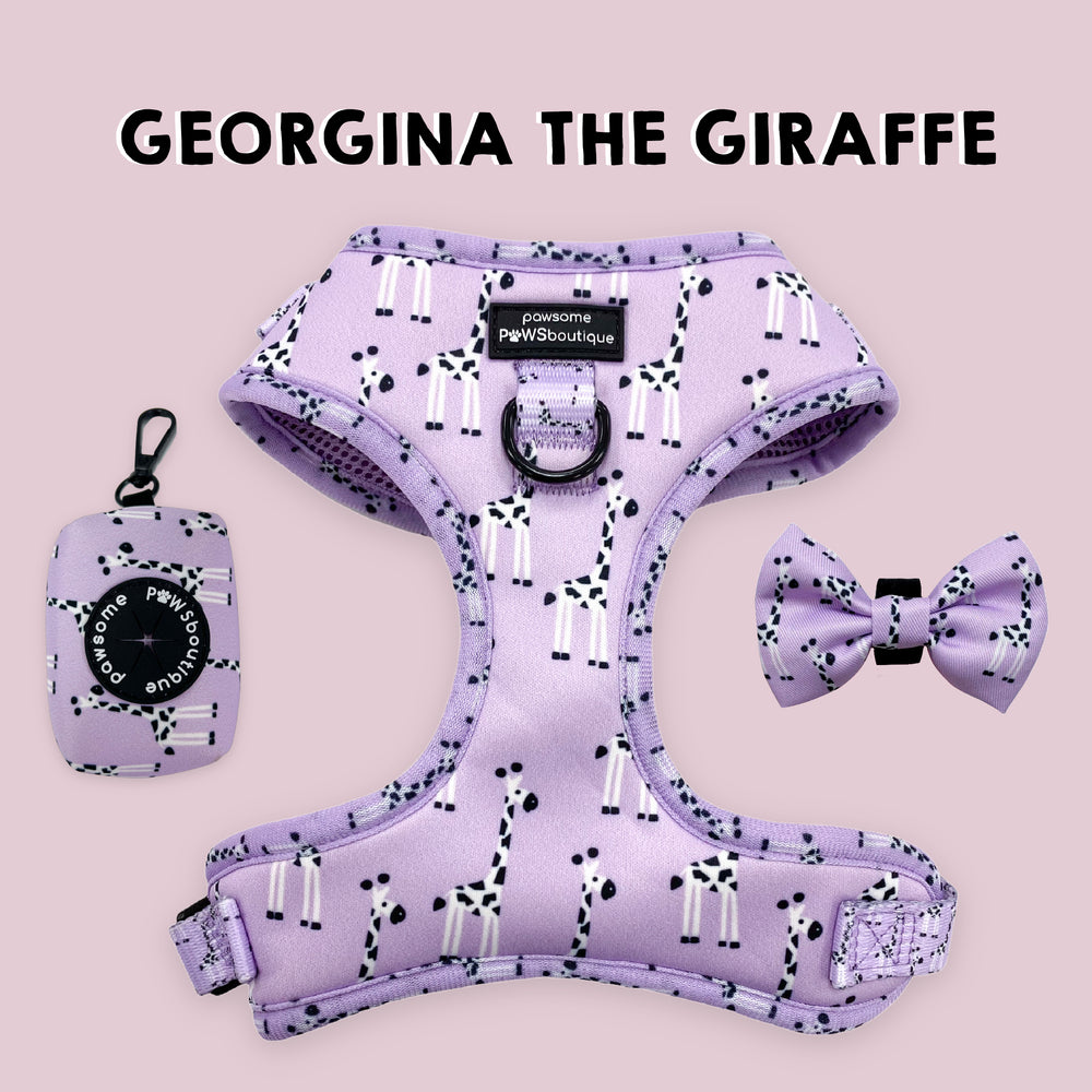 Georgina The Giraffe