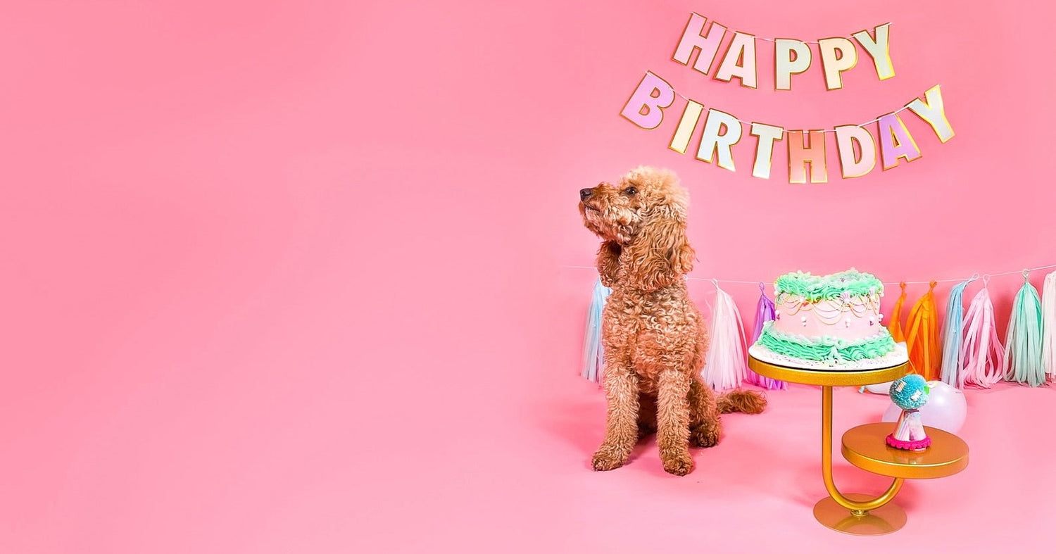 Betsy's Birthday Sale