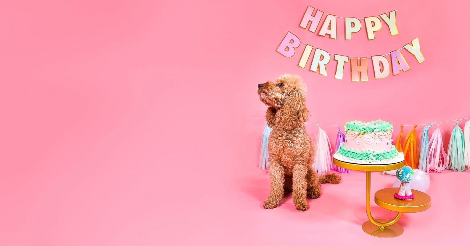 Betsy's Birthday Sale