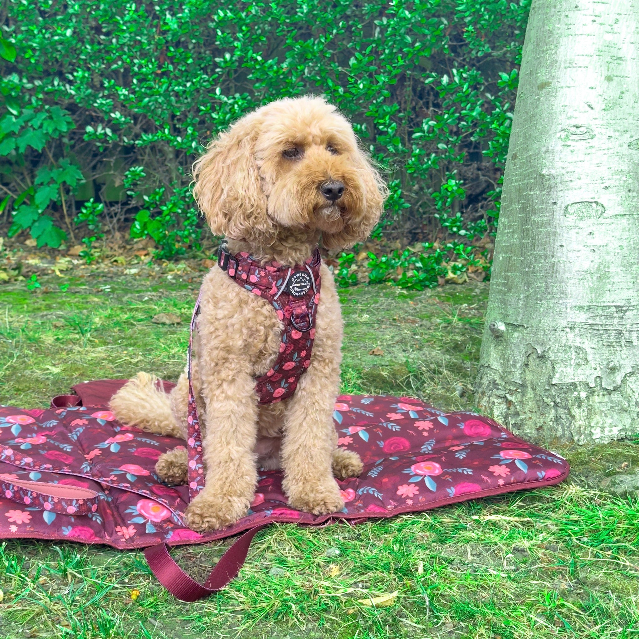 Mable's Meadow