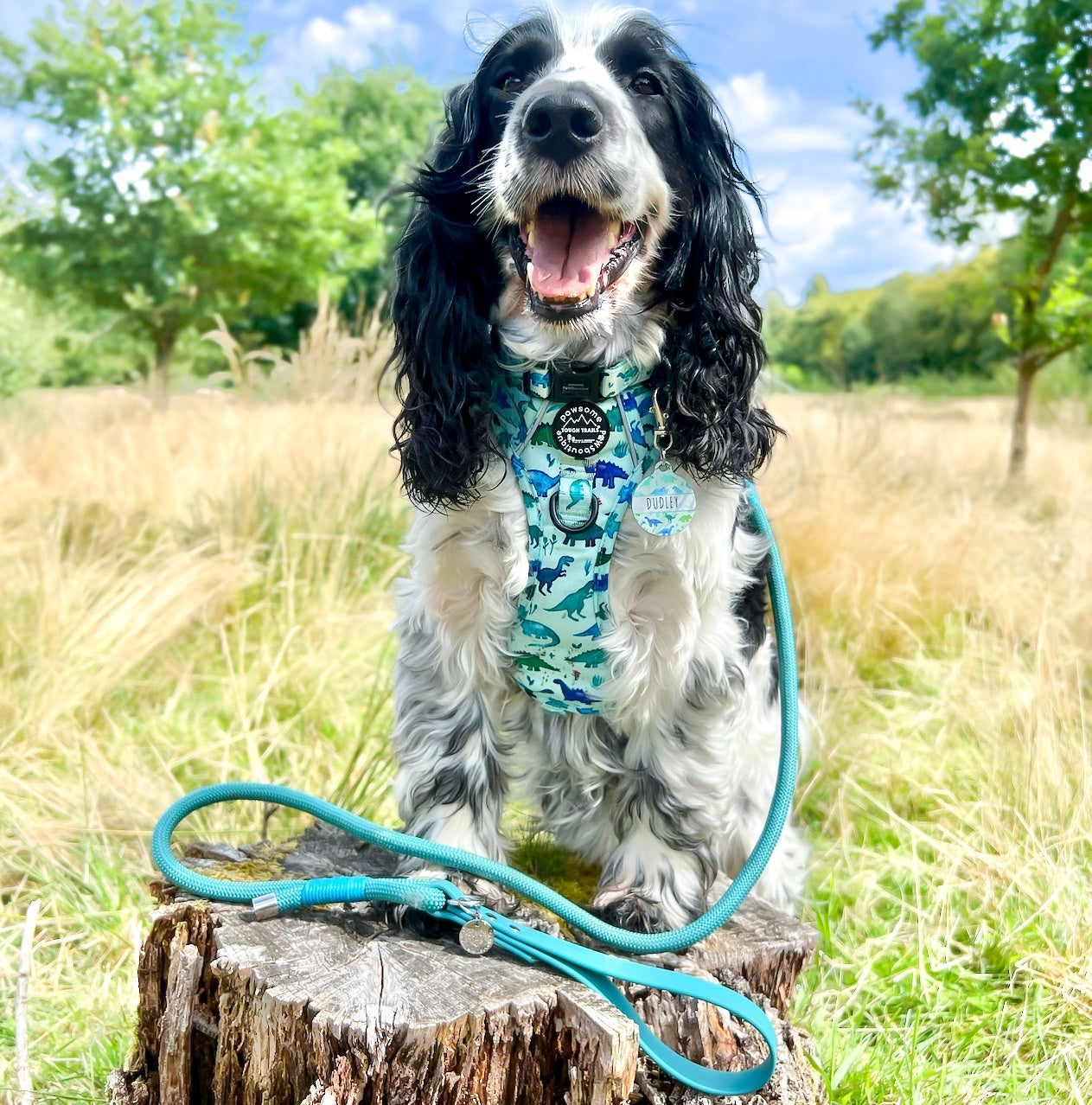 4ft Rope Lead
