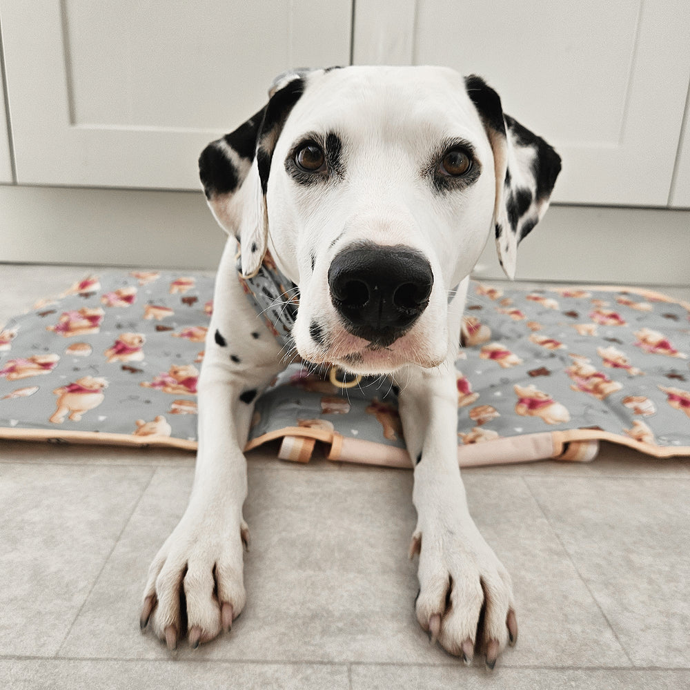 Disney© Travel Mat - Winnie The Pooh