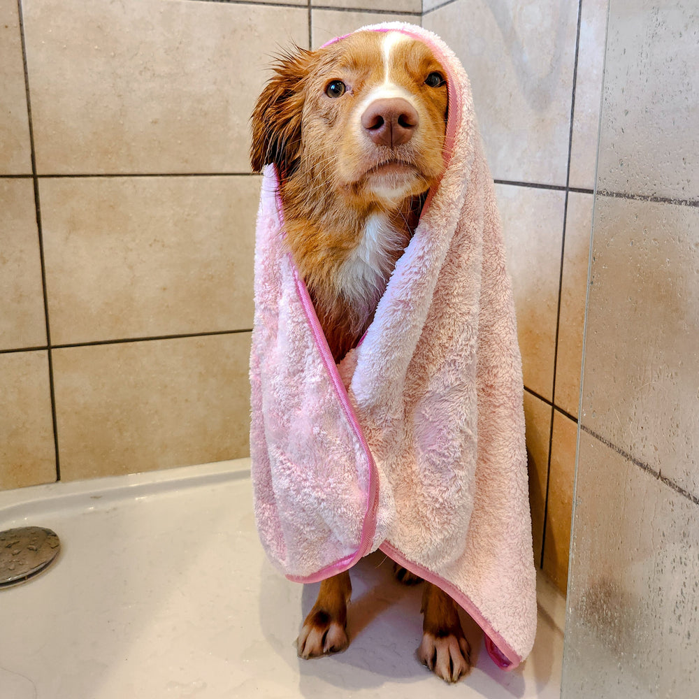 Disney© Microfibre Towel - Piglet