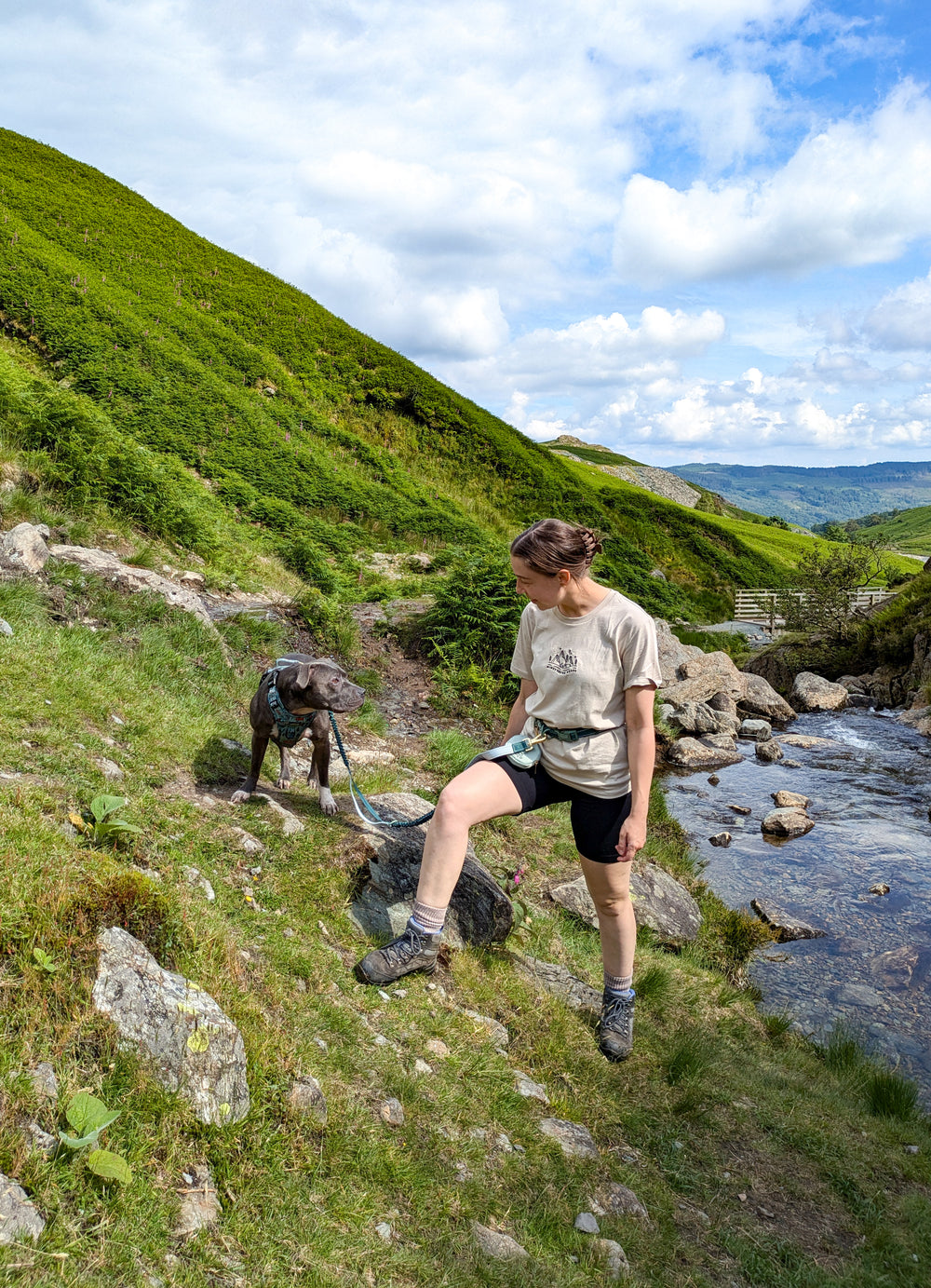 Handsfree Lead - Walkies Ready® Forest Green
