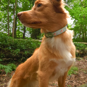 Disney© Collar - Bambi + Thumper