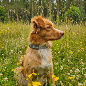 Disney© Collar - Bambi + Thumper