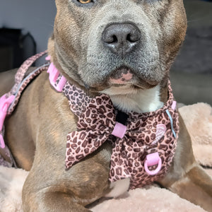 Sailor Bow - Leopard Print