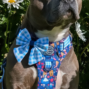 Sailor Bow - Alice In Wonderland