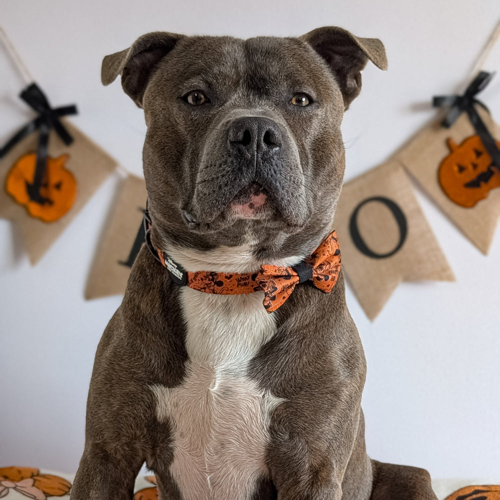 Disney© Bow Tie - Halloween