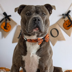Disney© Bow Tie - Halloween