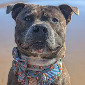 Disney© Sailor Bow - Gingerbread Bear Sage