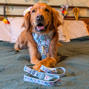 Disney© Lead - Stitch's Slumber Party