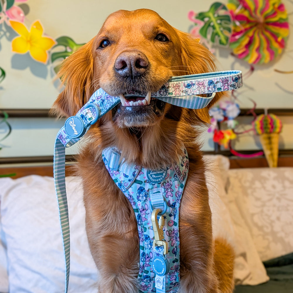 Disney© Lead - Stitch's Slumber Party