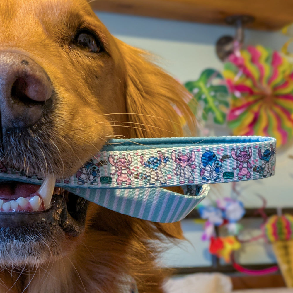 Disney© Lead - Stitch's Slumber Party