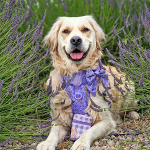 Disney© Treat Pouch - Bambi + Friends Lilac