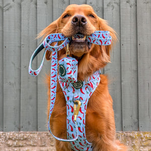 Poo Bag Holder - Stay Spicy