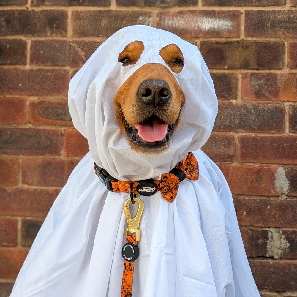 Disney© Bow Tie - Halloween