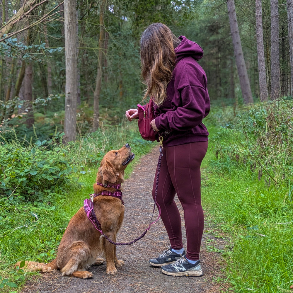 Handsfree Lead - Walkies Ready® Mulberry