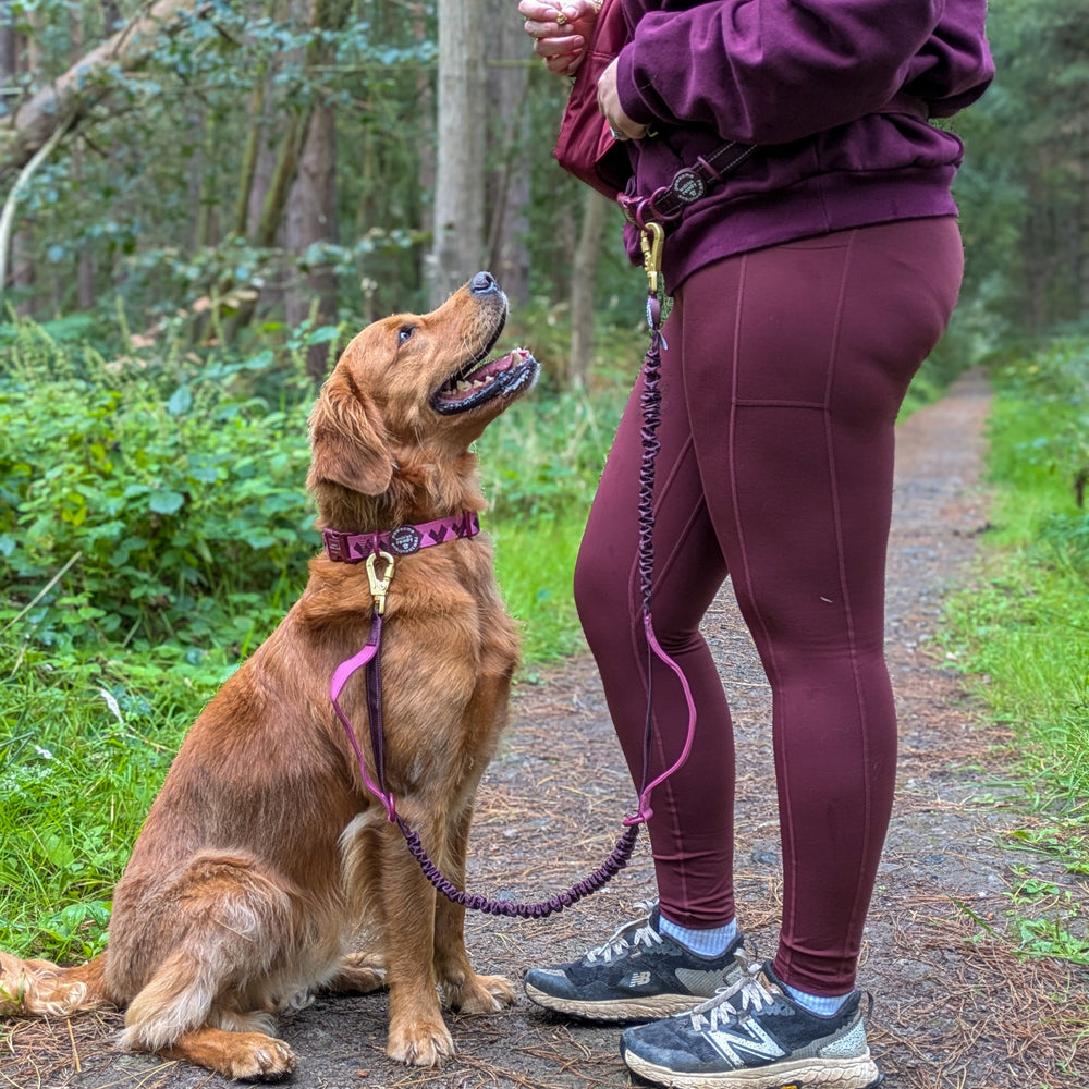 Handsfree Lead - Walkies Ready® Mulberry