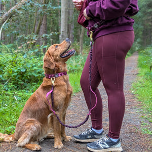 Handsfree Lead - Walkies Ready® Mulberry