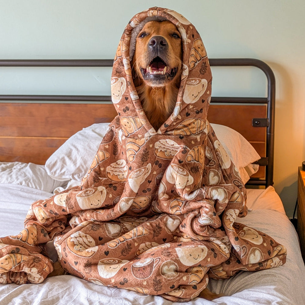 Cosy Comfort - Cinnamon Spice