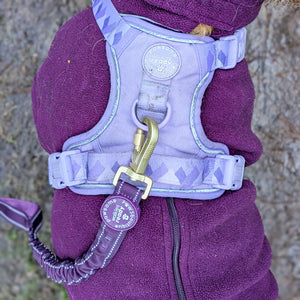 Handsfree Lead - Walkies Ready® Plum