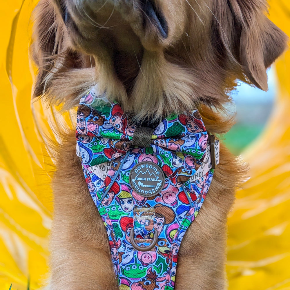 Disney© Bow Tie - Toy Story Friends