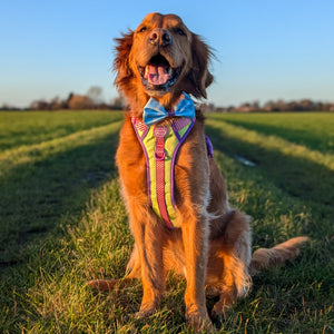 Disney© Bow Tie - Buzz Lightyear