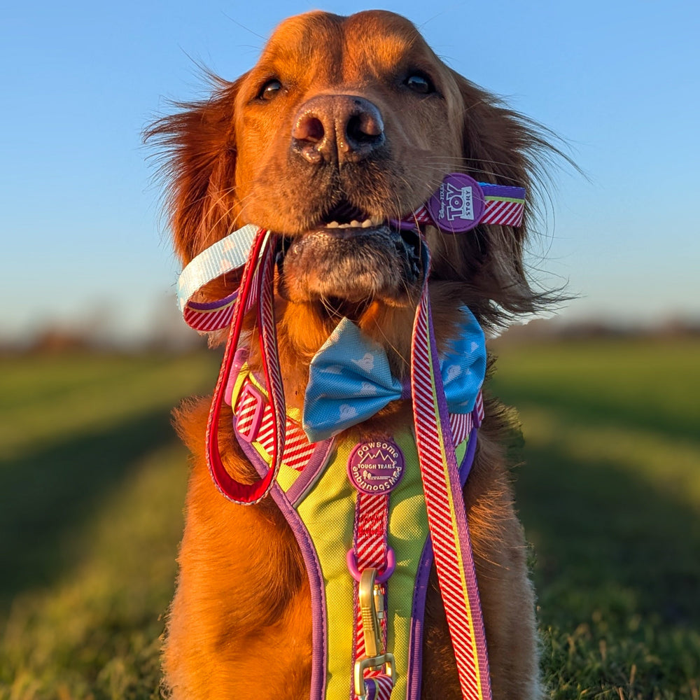 Disney© Lead - Buzz Lightyear