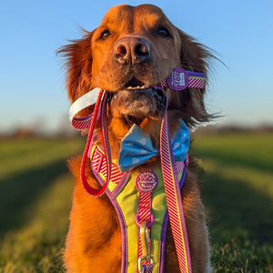 Disney© Lead - Buzz Lightyear